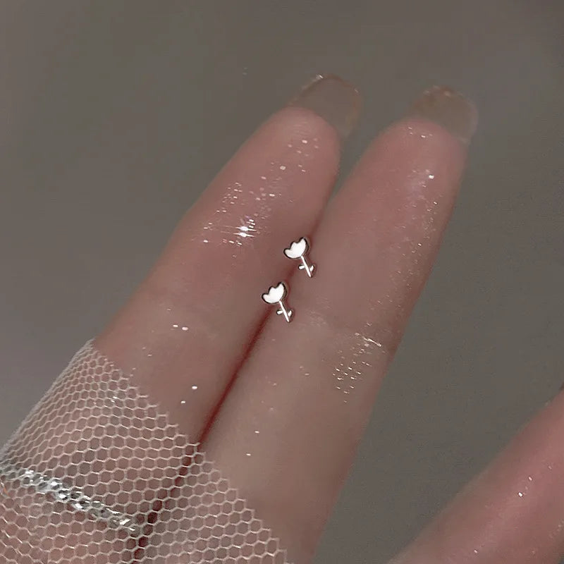 Brincos Miniatura RaiowKiss